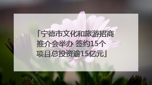 宁德市文化和旅游招商推介会举办 签约15个项目总投资逾15亿元