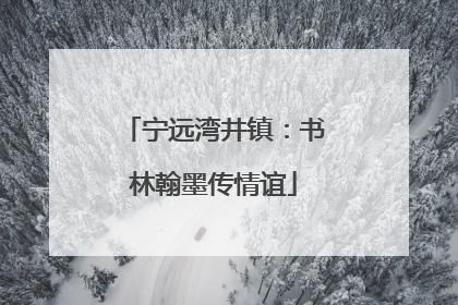 宁远湾井镇：书林翰墨传情谊