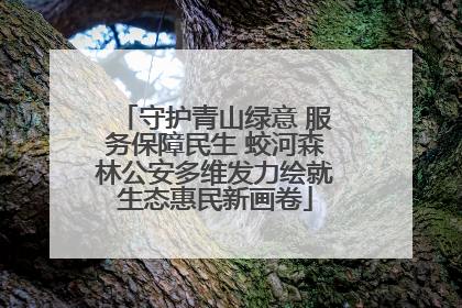 守护青山绿意 服务保障民生 蛟河森林公安多维发力绘就生态惠民新画卷