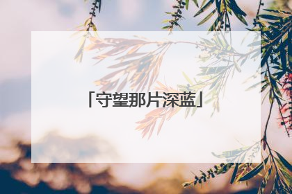 守望那片深蓝