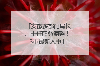 安徽多部门局长、主任职务调整！3市最新人事