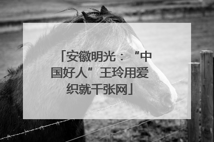 安徽明光：“中国好人”王玲用爱织就千张网