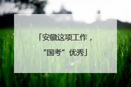 安徽这项工作，“国考”优秀