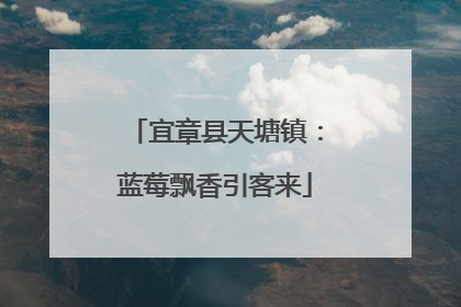 宜章县天塘镇：蓝莓飘香引客来