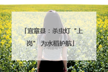 宜章县：杀虫灯“上岗” 为水稻护航