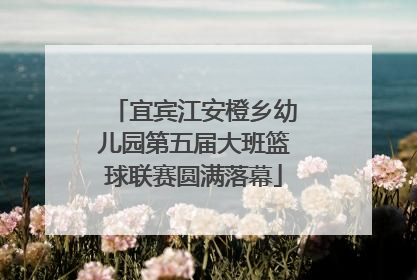 宜宾江安橙乡幼儿园第五届大班篮球联赛圆满落幕