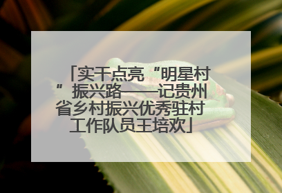 实干点亮“明星村”振兴路——记贵州省乡村振兴优秀驻村工作队员王培欢
