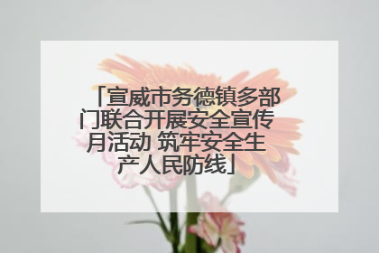 宣威市务德镇多部门联合开展安全宣传月活动 筑牢安全生产人民防线
