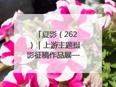 夏影（262）｜上游主题摄影征稿作品展——黄红专作品
