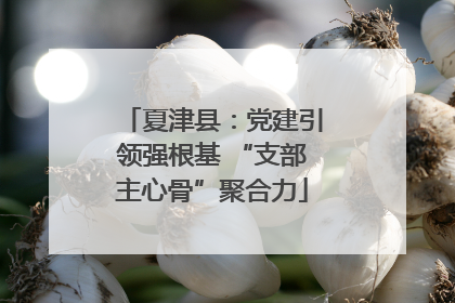 夏津县：党建引领强根基 “支部主心骨”聚合力