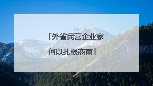 外省民营企业家何以扎根商南