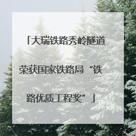 大瑞铁路秀岭隧道荣获国家铁路局“铁路优质工程奖”
