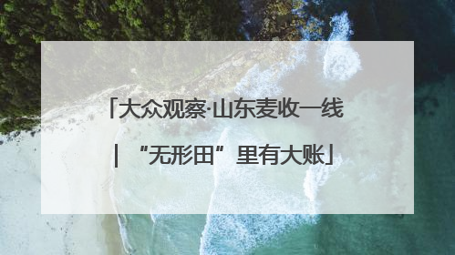 大众观察·山东麦收一线｜“无形田”里有大账