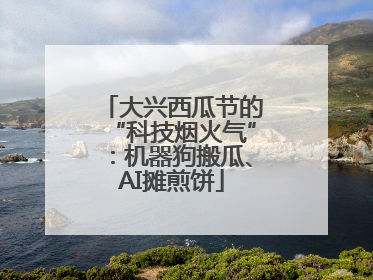 大兴西瓜节的“科技烟火气”：机器狗搬瓜、AI摊煎饼