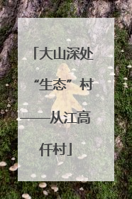 大山深处“生态”村——从江高仟村