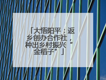 大悟阳平：返乡创办合作社，种出乡村振兴“金稻子”