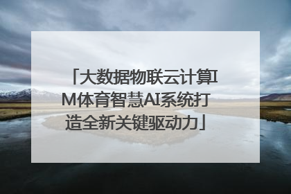 大数据物联云计算IM体育智慧AI系统打造全新关键驱动力