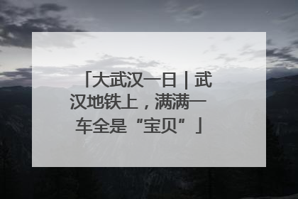 大武汉一日｜武汉地铁上，满满一车全是“宝贝”
