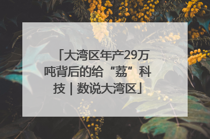 大湾区年产29万吨背后的给“荔”科技｜数说大湾区