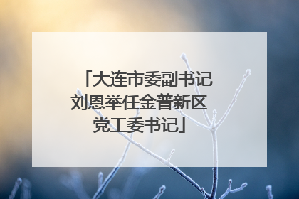 大连市委副书记刘恩举任金普新区党工委书记