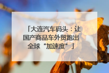 大连汽车码头：让国产商品车外贸跑出全球“加速度”