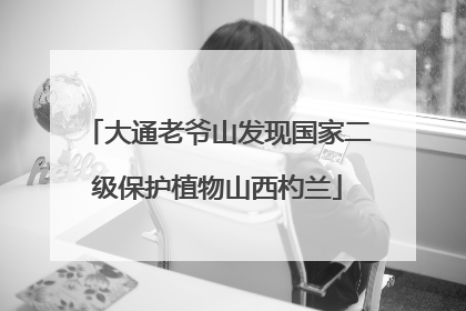 大通老爷山发现国家二级保护植物山西杓兰
