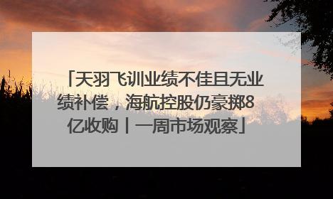 天羽飞训业绩不佳且无业绩补偿，海航控股仍豪掷8亿收购丨一周市场观察