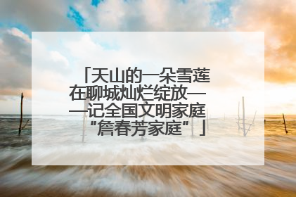 天山的一朵雪莲在聊城灿烂绽放——记全国文明家庭“詹春芳家庭”