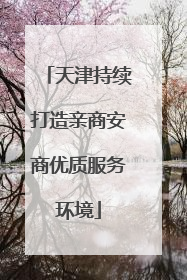 天津持续打造亲商安商优质服务环境