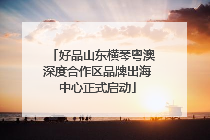 好品山东横琴粤澳深度合作区品牌出海中心正式启动