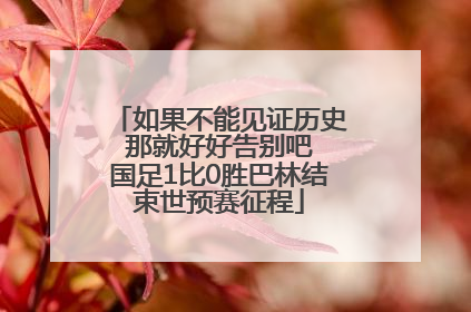 如果不能见证历史 那就好好告别吧 国足1比0胜巴林结束世预赛征程