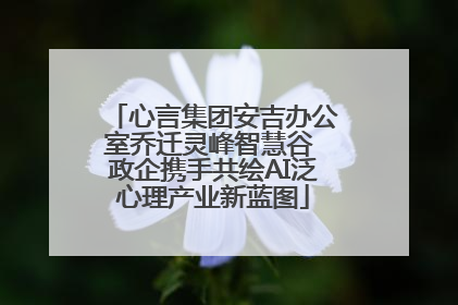 心言集团安吉办公室乔迁灵峰智慧谷 政企携手共绘AI泛心理产业新蓝图