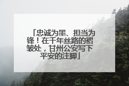 忠诚为墨、担当为锋！在千年丝路的褶皱处，甘州公安写下平安的注脚