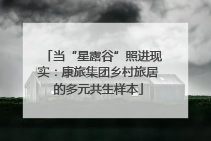 当“星露谷”照进现实：康旅集团乡村旅居的多元共生样本