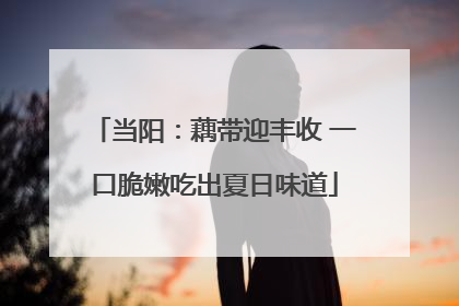 当阳：藕带迎丰收 一口脆嫩吃出夏日味道