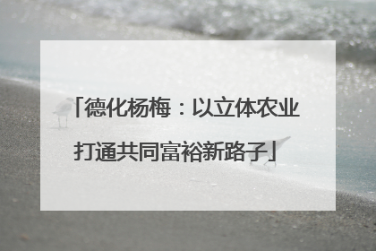 德化杨梅：以立体农业打通共同富裕新路子