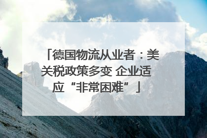 德国物流从业者：美关税政策多变 企业适应“非常困难”