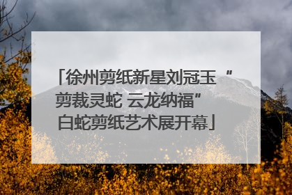 徐州剪纸新星刘冠玉“剪裁灵蛇 云龙纳福” 白蛇剪纸艺术展开幕