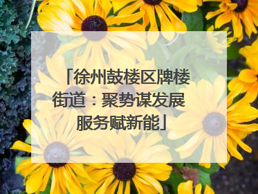 徐州鼓楼区牌楼街道：聚势谋发展 服务赋新能