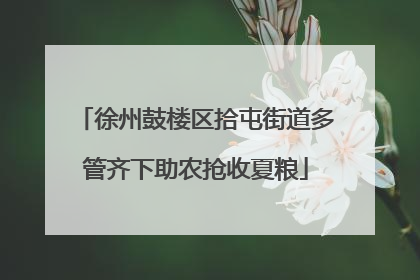 徐州鼓楼区拾屯街道多管齐下助农抢收夏粮