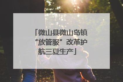 微山县微山岛镇“放管服”改革护航三夏生产