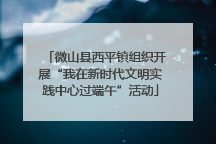 微山县西平镇组织开展“我在新时代文明实践中心过端午”活动