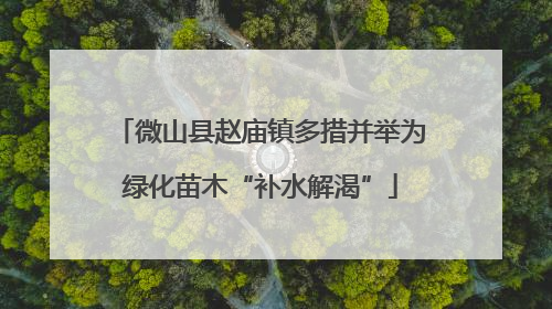 微山县赵庙镇多措并举为绿化苗木“补水解渴”