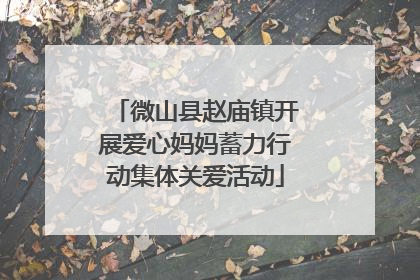 微山县赵庙镇开展爱心妈妈蓄力行动集体关爱活动