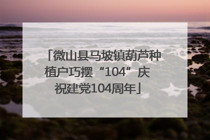 微山县马坡镇葫芦种植户巧摆“104”庆祝建党104周年