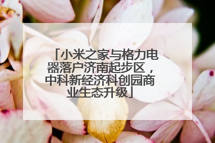 小米之家与格力电器落户济南起步区，中科新经济科创园商业生态升级