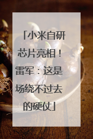 小米自研芯片亮相！雷军：这是场绕不过去的硬仗