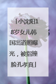 小沈阳18岁女儿韩国出道照曝光，被指撞脸孔孝真