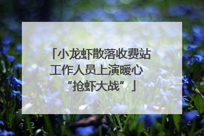 小龙虾散落收费站 工作人员上演暖心“抢虾大战”