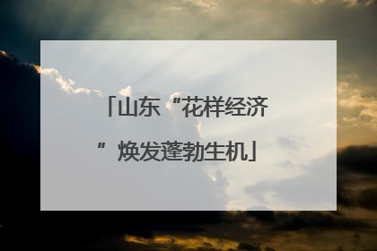 山东“花样经济”焕发蓬勃生机